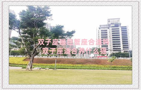 双子座跟巨蟹座合适吗 双子座适合养什么猫